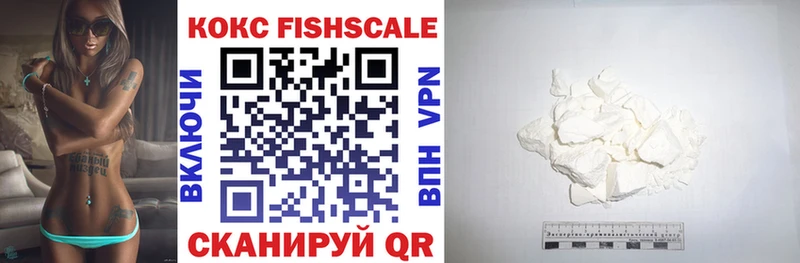 Cocaine Fish Scale  kraken сайт  Нерчинск 