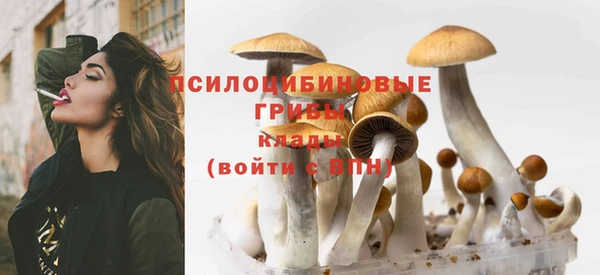 spice Абдулино