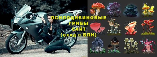 MDMA Алексеевка