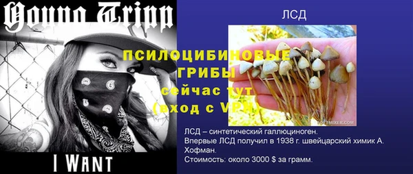 spice Абдулино